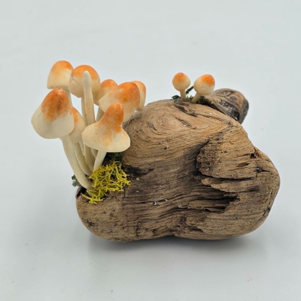 Mushroom Miniature Rustic Sculpture on Fossil Bark Woodland Nature Decor